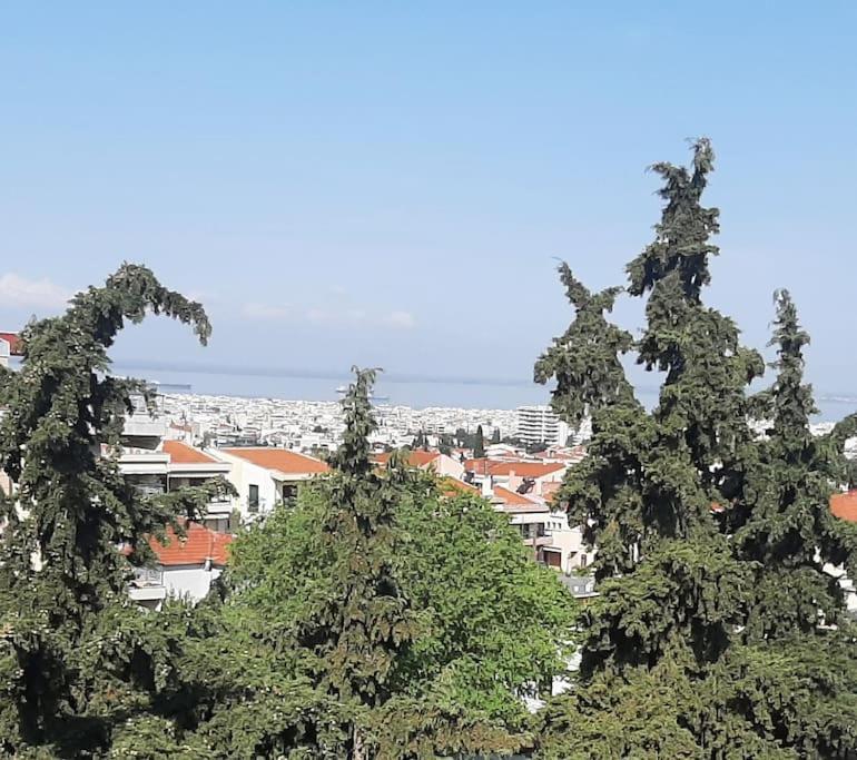 Όμορφο Διαμέρισμα- Σοφίτα Με Υπέροχη Θεα Салоніки Екстер'єр фото